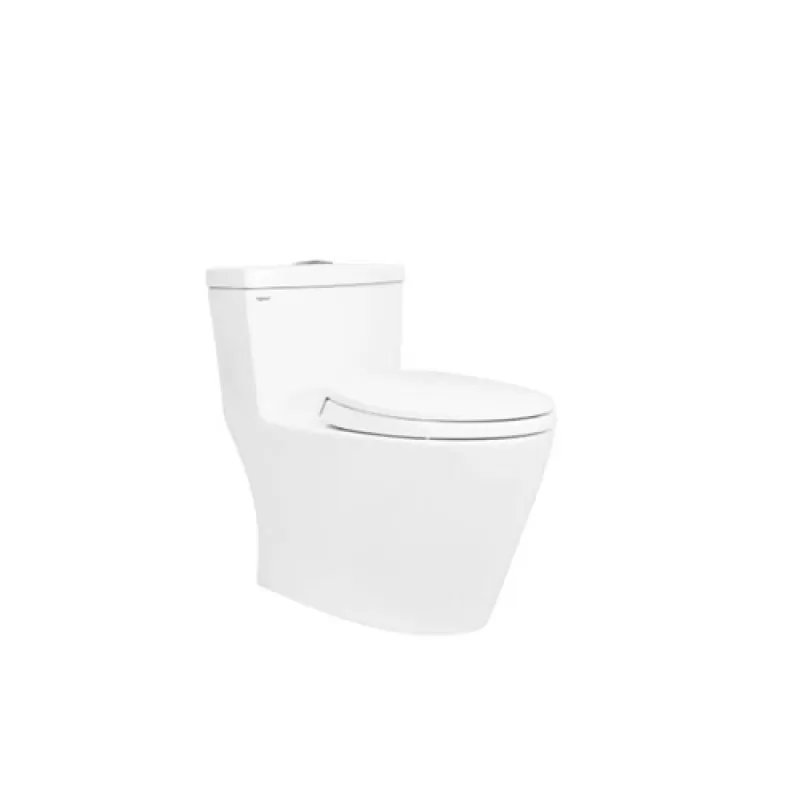 BÀN CẦU MỘT KHỐI VIGLACERA