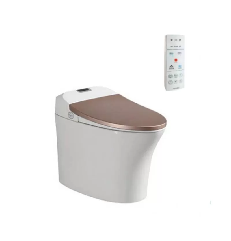 Bồn Cầu Điện Tử Viglacera V93.GW - Phú Đông Phát Giá Rẻ