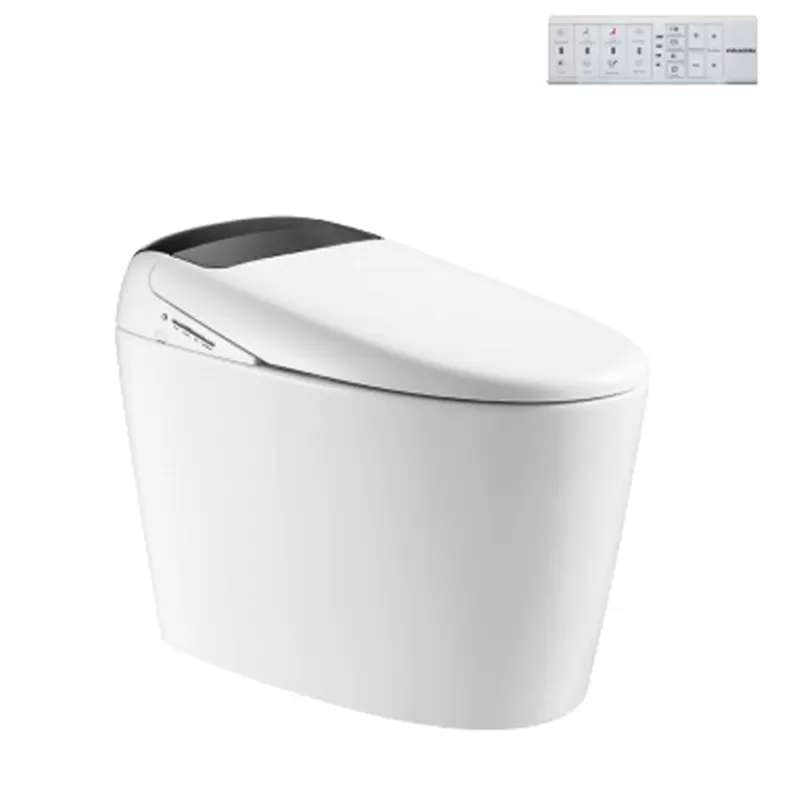 Bồn Cầu Điện Tử Viglacera V97.WB - Phú Đông Phát Giá Rẻ