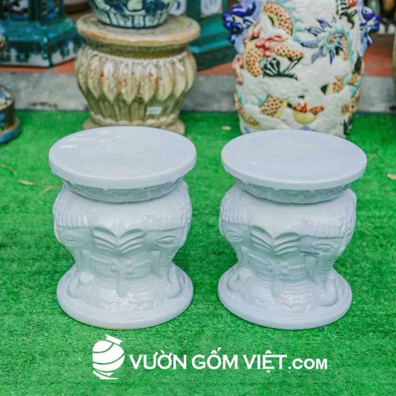Đôn voi bé trắng