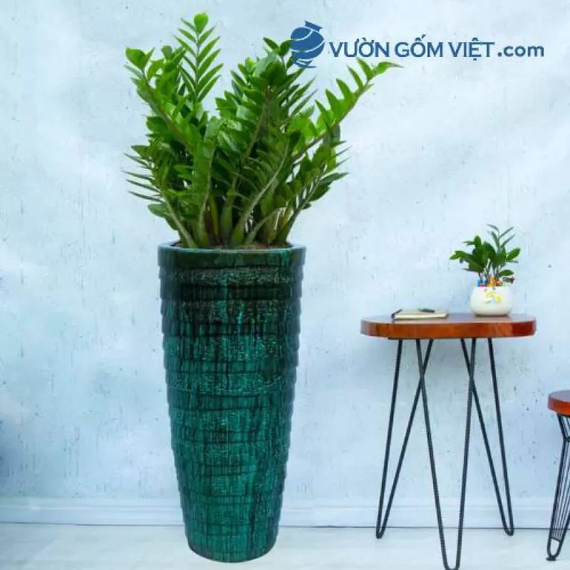 Chậu nón cụt cao vân gợn sóng 1851 