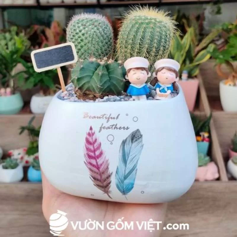 Chậu ang sa cao in hình