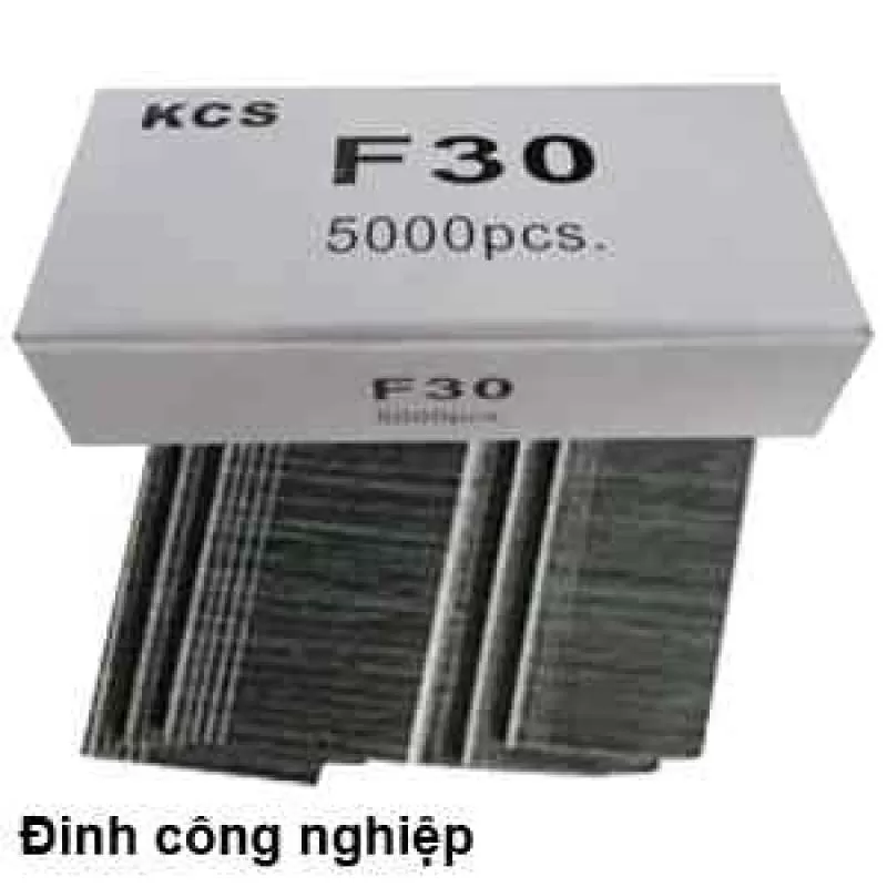 ĐINH F30