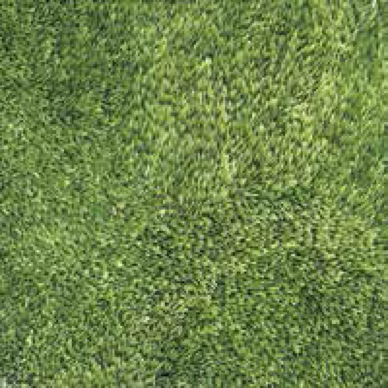 Gạch Granite Sân Vườn Đồng Tâm 40x40 4040GRASS001 - Saigon Tile 