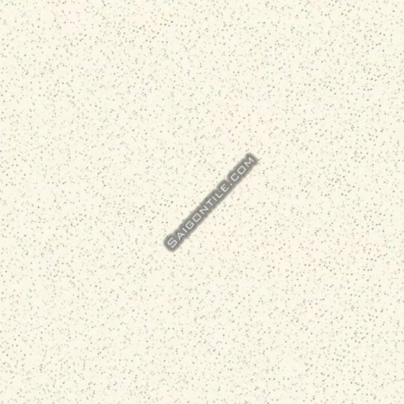Gạch Bạch Mã 45x45 granite muối tiêu lát sân vườn HG4501 chính hãng