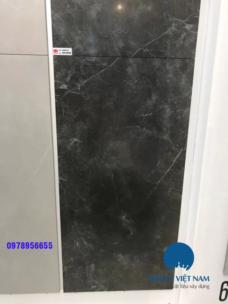 Gạch Taicera 60x120 GS12849