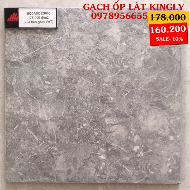 Gạch Đồng Tâm 30x30 ANDES003