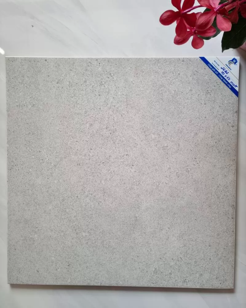 GẠCH MEN MỜ 2642