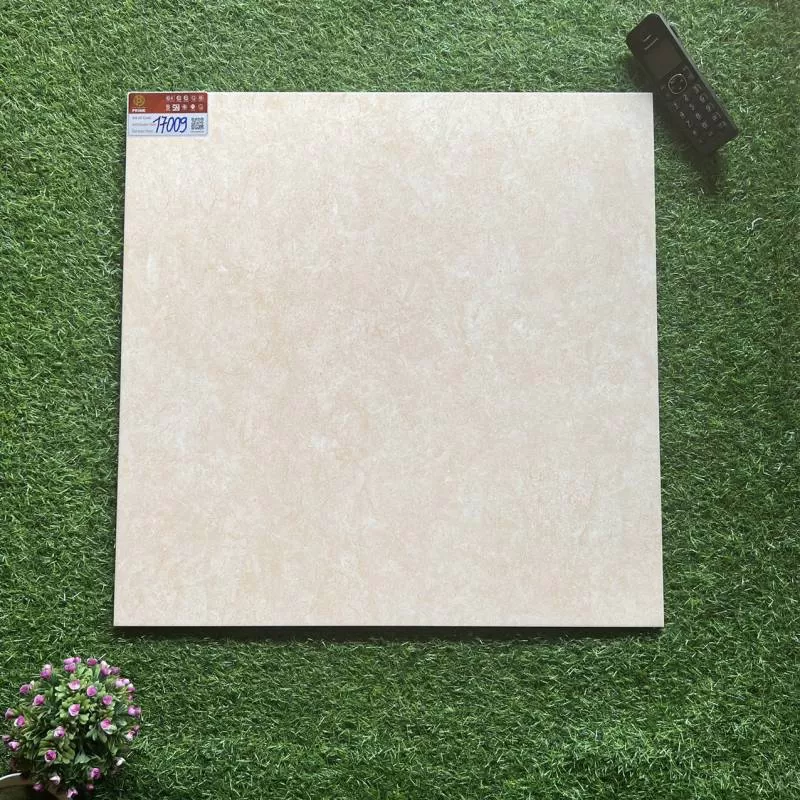 GẠCH MEN MỜ 17009