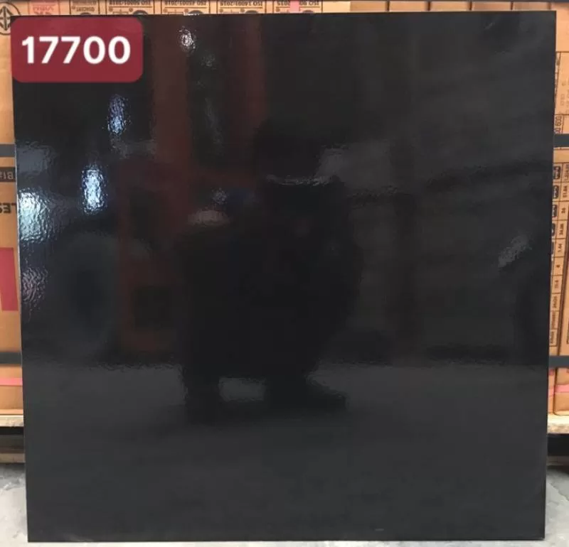 GẠCH MEN BÓNG 17700