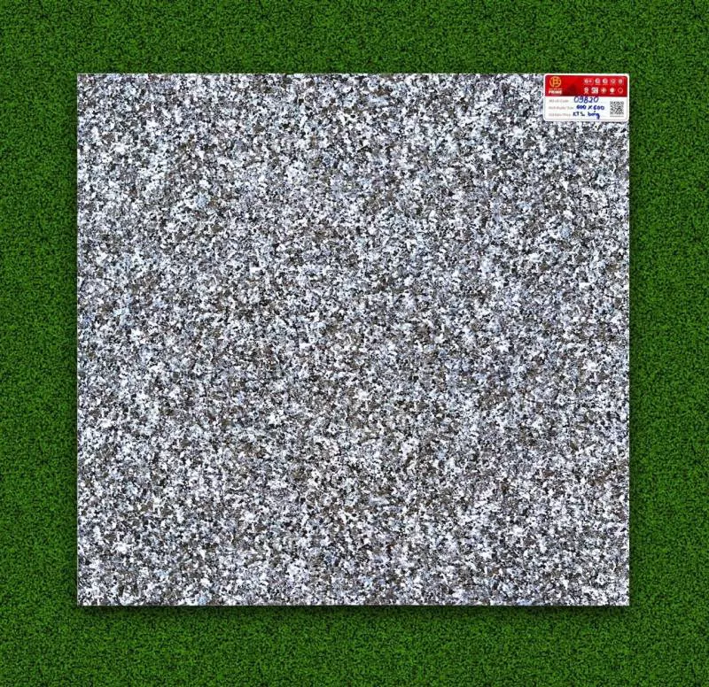 GẠCH MEN BÓNG 9820