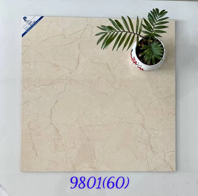 GẠCH MEN BÓNG 9801