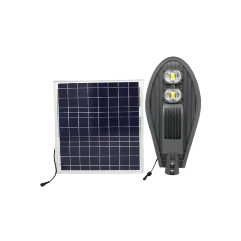 Đèn đường năng lượng mặt trời L-100W - NGỌC PHÁT SOLAR