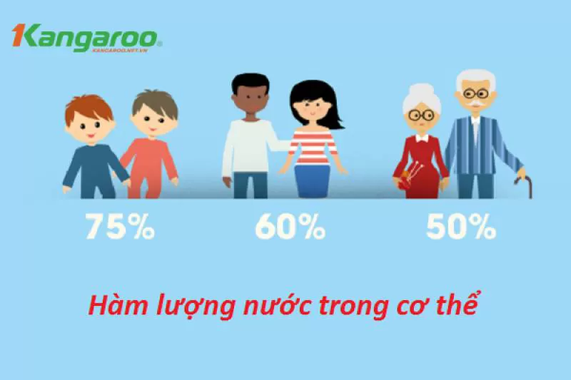 Nhu Cầu, Vai Trò Của Nước Đối Với Cơ Thể Con Người?