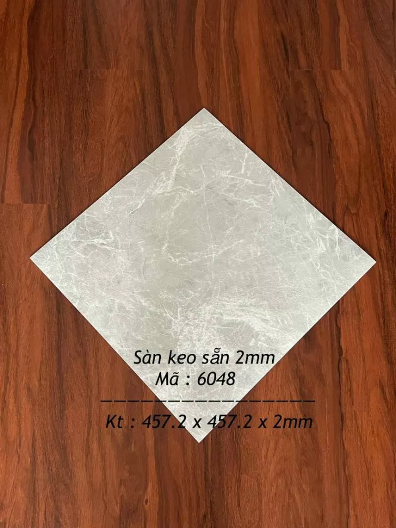 SÀN NHỰA 6048
