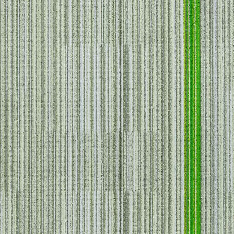 Pre order)Hyberion – Greenery