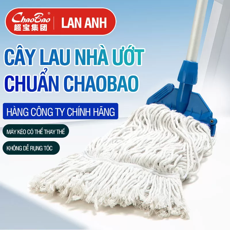 Cây lau nhà búi dẹp