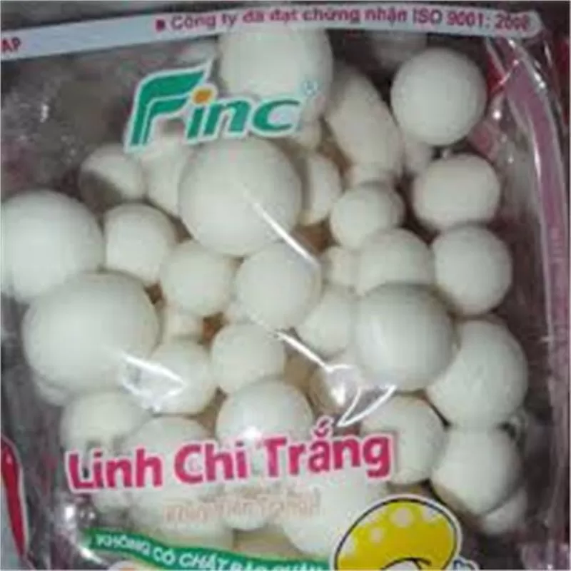 Giá Nấm Linh Chi Trắng - Nhà phân phối hàng tiêu dùng Trường Hưng