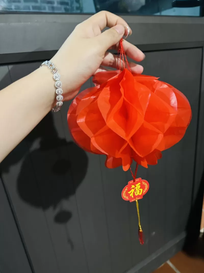 Set 10 Đèn Lồng Tết Size 25cm ( Thùng 420 Set )
