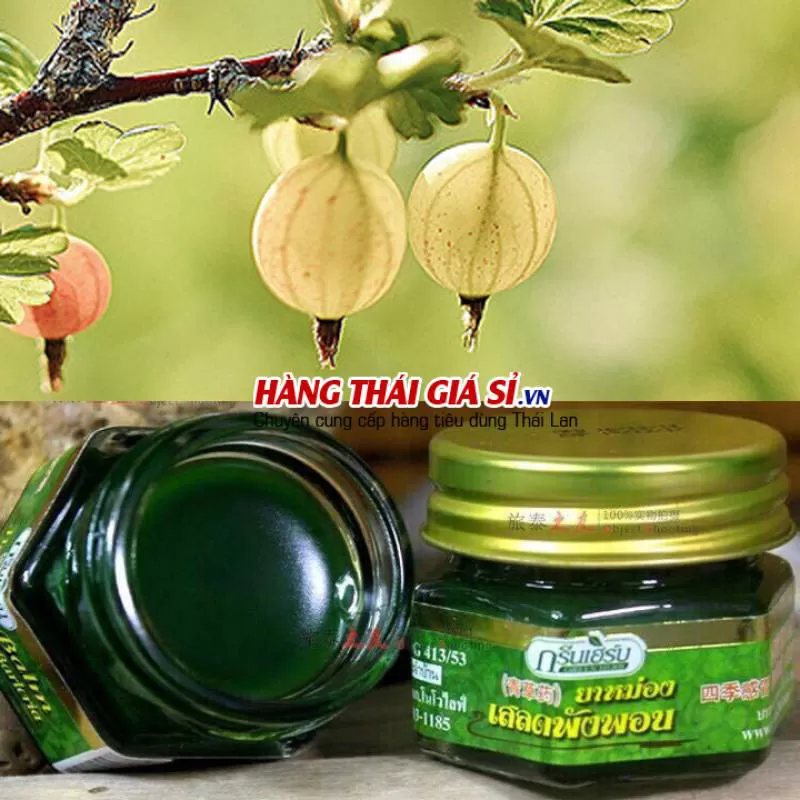 Dầu cù là Bồ đề Thái Lan