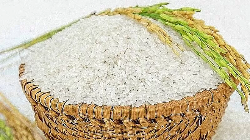 Việt Nam phải nhập gạo, điều, hạt tiêu... con số gây choáng