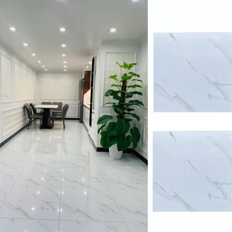 Gạch Ốp Lát 80x80 Takao TK6080