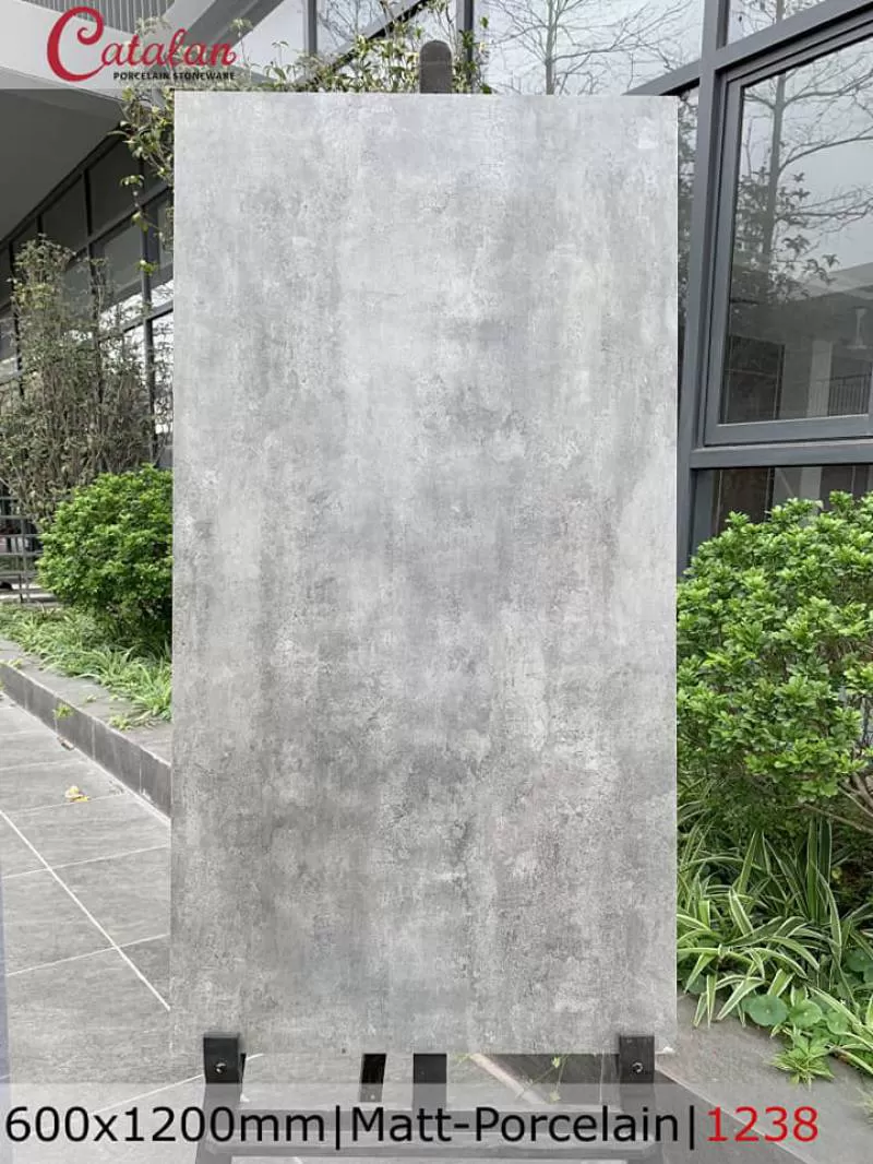 Gạch ốp lát 60x120 Catalan 1238
