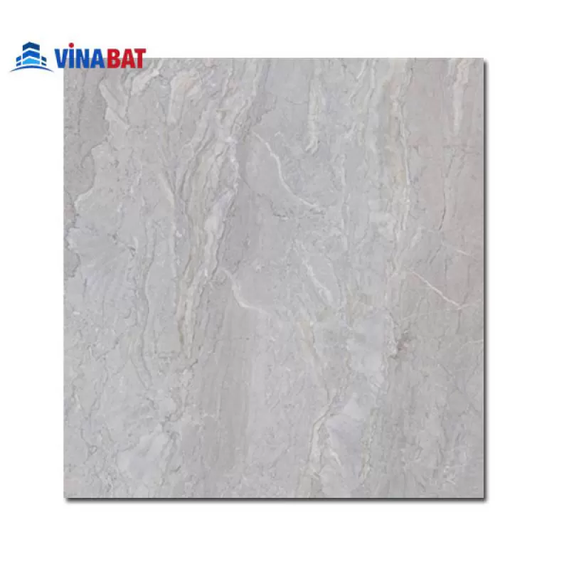 Gạch Ấn Độ 120x120cm vân đá màu ghi I812