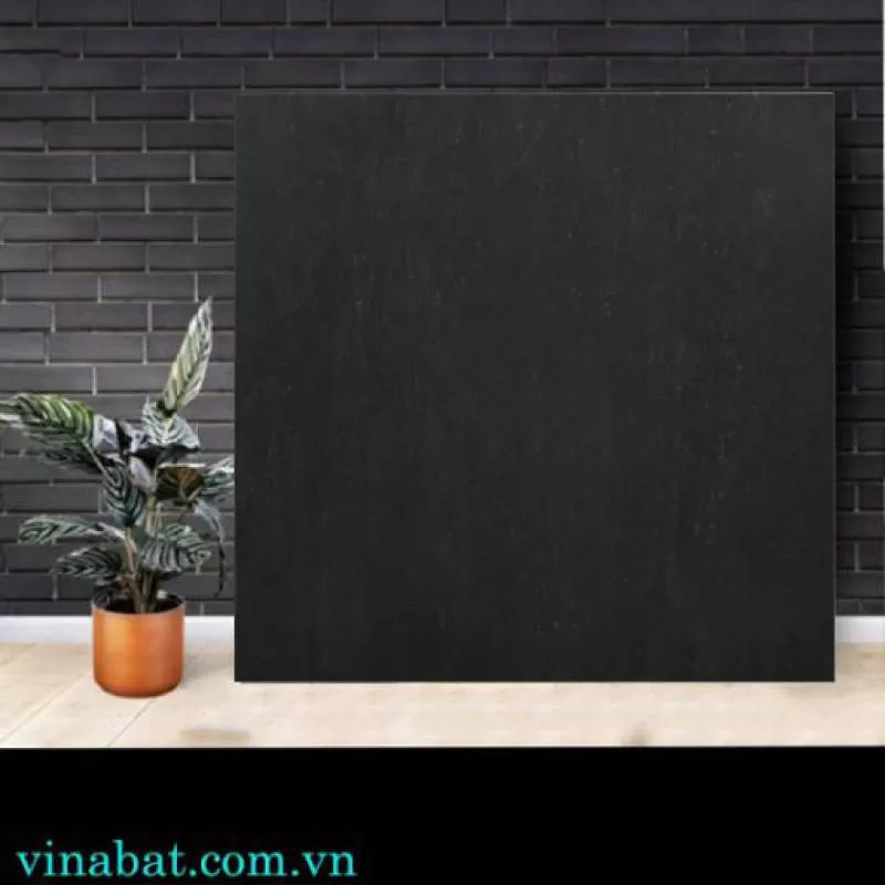 Gạch Taicera 60x60cm H68319
