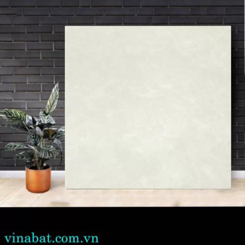 Gạch Taicera 60x60cm P67663N