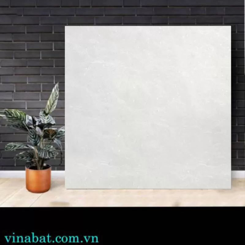 Gạch Taicera 60x60cm P67662N