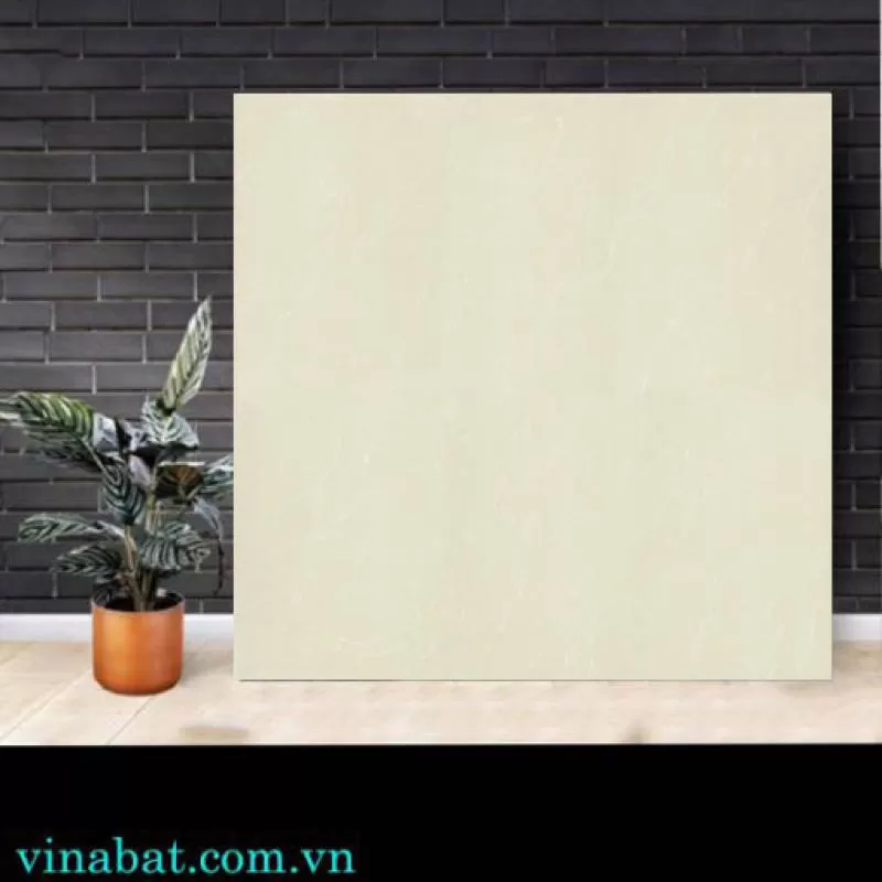 Gạch Taicera 60x60cm P67763N