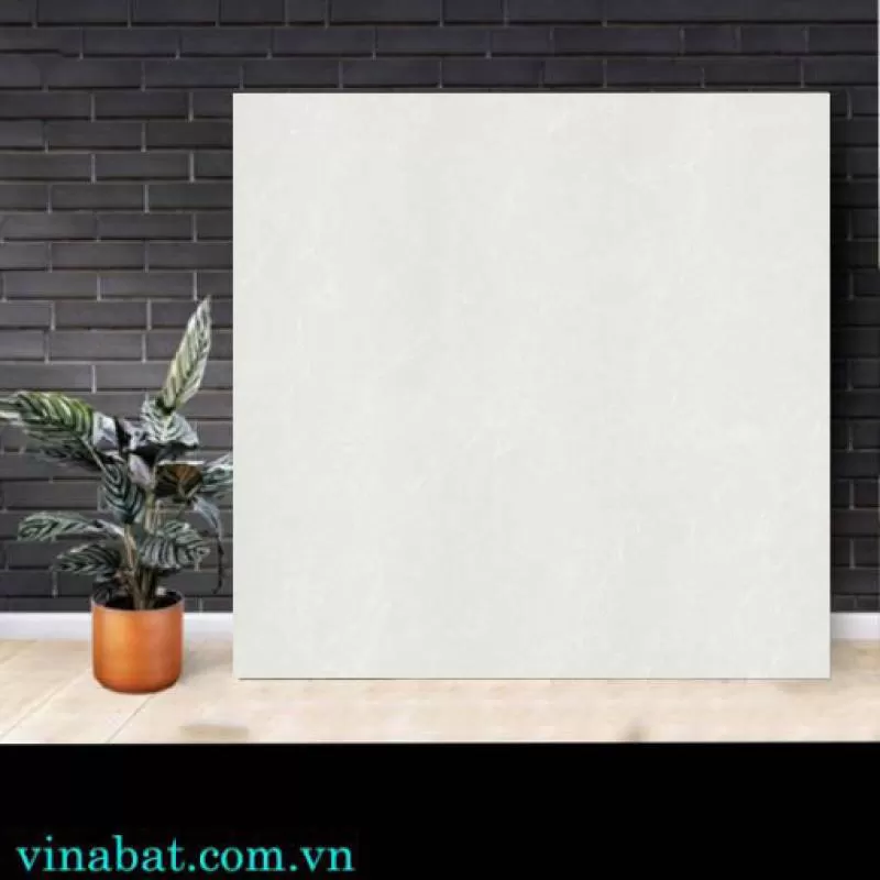 Gạch Taicera 60x60cm P67762N