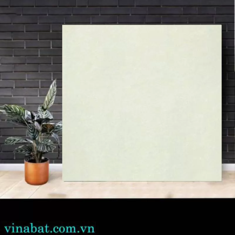 Gạch Taicera 60x60cm P67703N