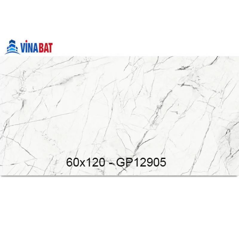 Gạch Taicera 60x120cm GP12905