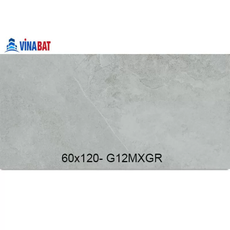 Gạch Taicera 60x120cm G12MXGR