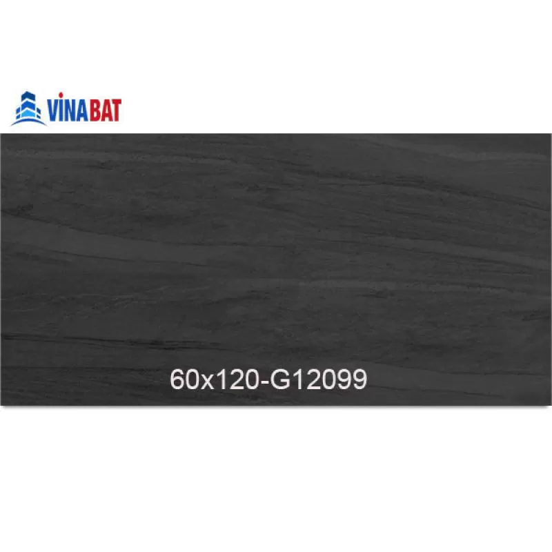 Gạch Taicera 60x120cm G12099