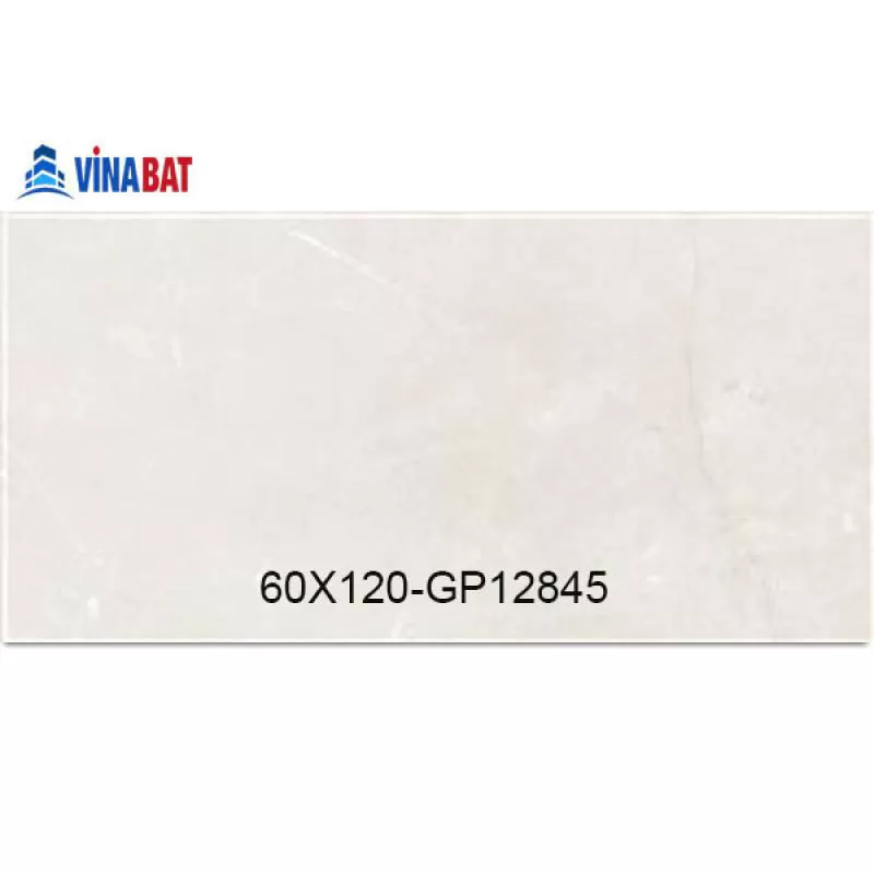 Gạch Taicera 60x120cm GP12845