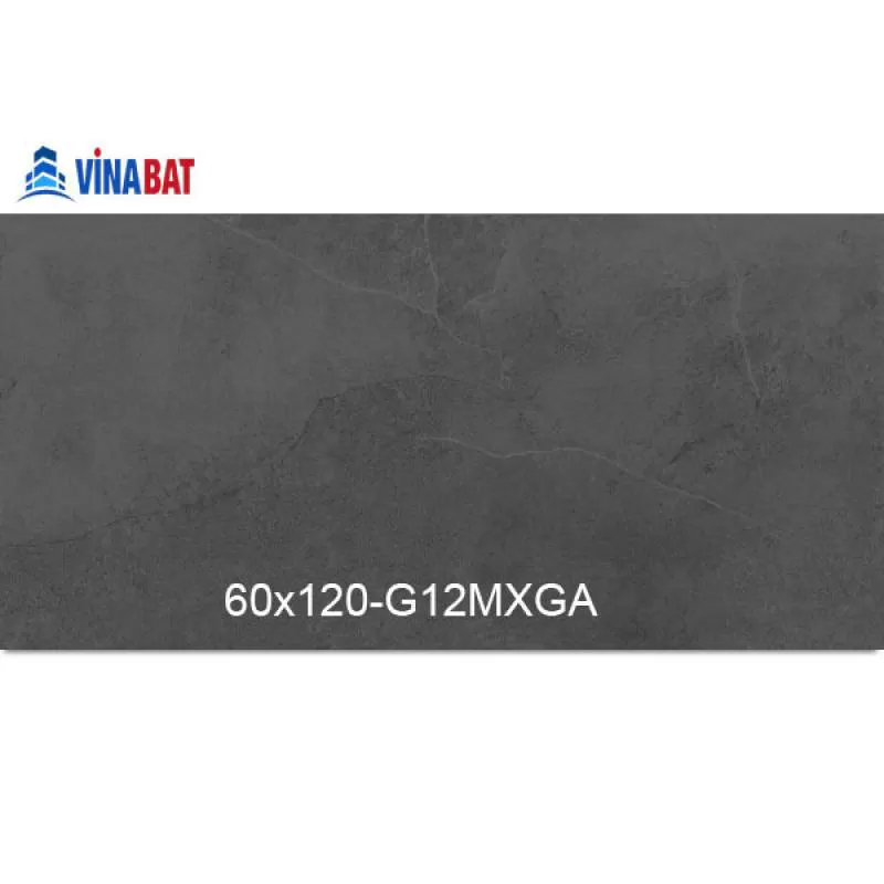 Gạch Taicera 60x120cm G12MXGA granit đồng chất