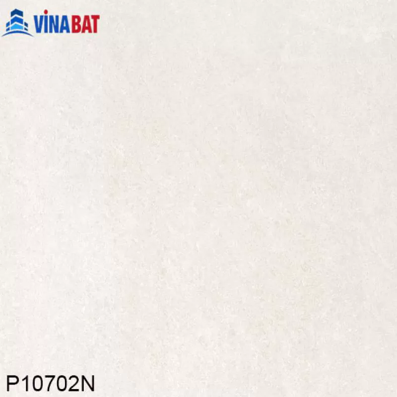 Gạch Taicera đồng chất 100x100cm P10702N chống trơn