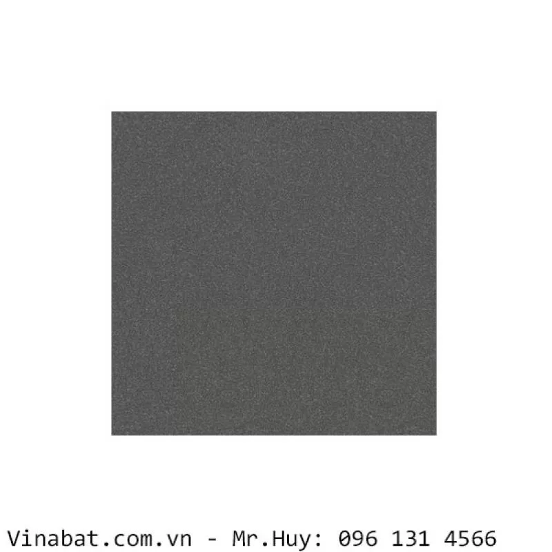 Gạch Taicera đồng chất 30x30 G38029 - VinaBAT