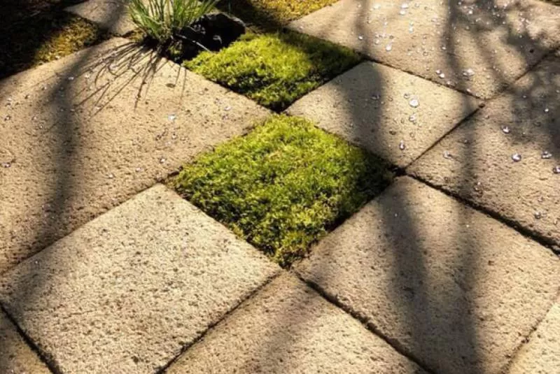 Đá granite vàng đậm Bình Định mặt băm 30x30x2cm 