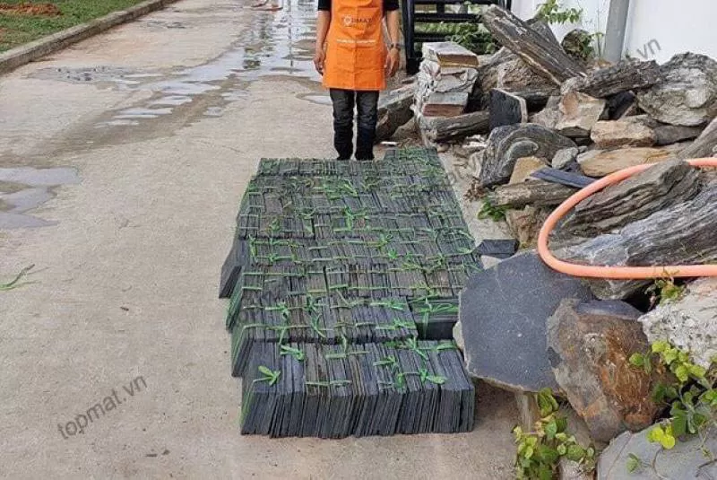 Bán Đá Slate Lai Châu ốp tường trang trí