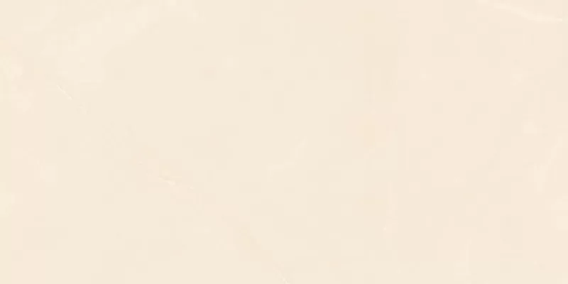 Gạch Viglacera 60x120 CLGP-61208