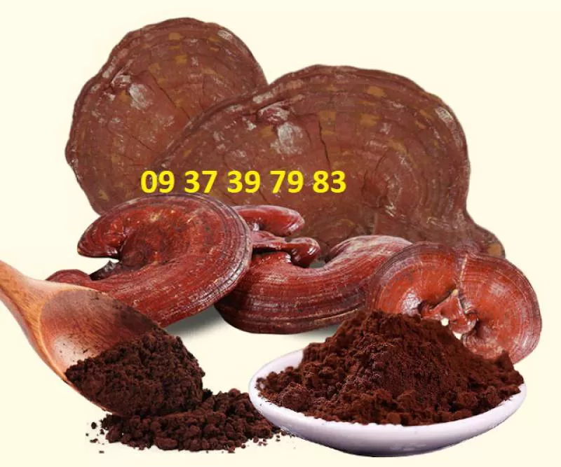 Nấm Linh Chi Đỏ Xay Nhuyễn Thái Minh