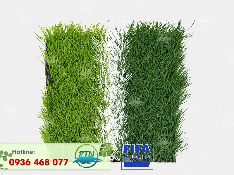 Cỏ nhân tạo PTN-M58 PRO