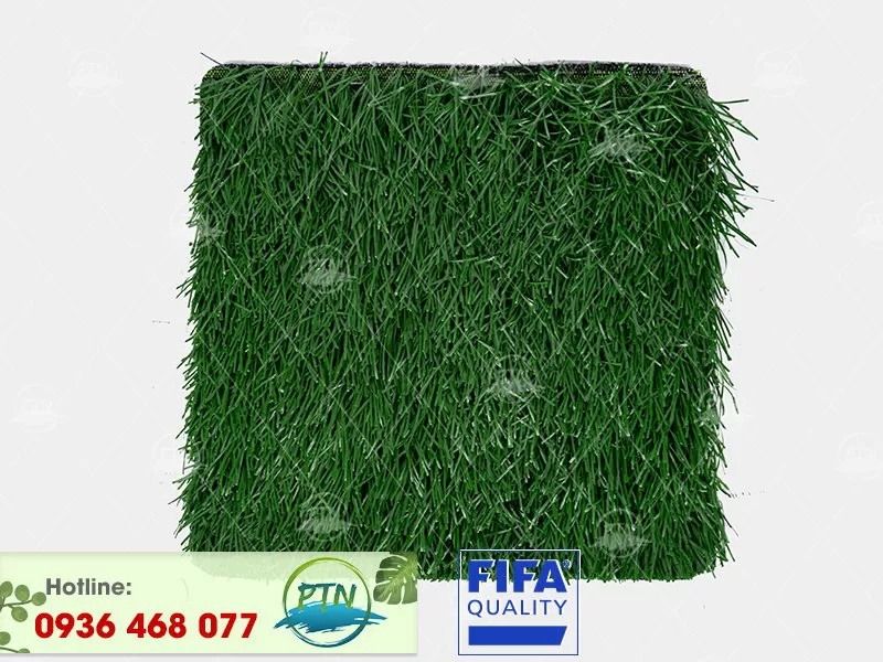 Cỏ nhân tạo PTN-M26