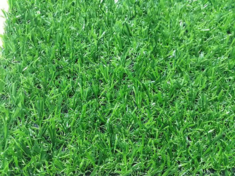 Cỏ nhân tạo sân vườn M20