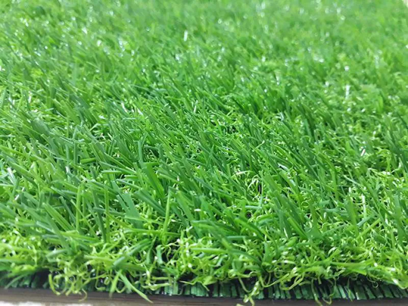 Cỏ nhân tạo sân vườn PTN-TG20