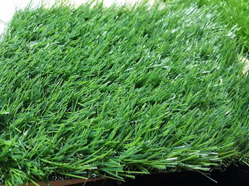 Cỏ nhân tạo sân vườn PTN-LG30